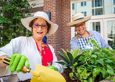 Happy, smiling older women gardening together